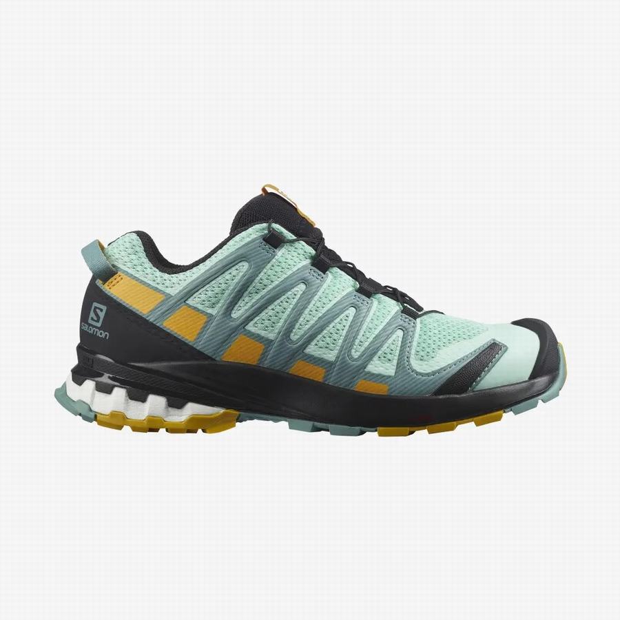 Salomon Xa Pro 3d V8 Trail Löparskor Dam Mintgröna [UZR9897IY]